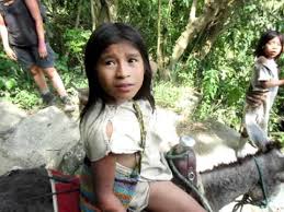 indigena